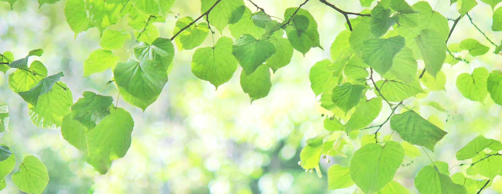 キービジュアルイメージ01